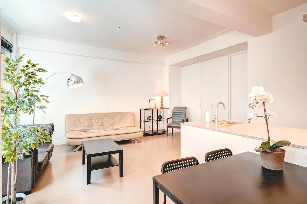 Spacious Apartments In The Heart Of アントウェルペン